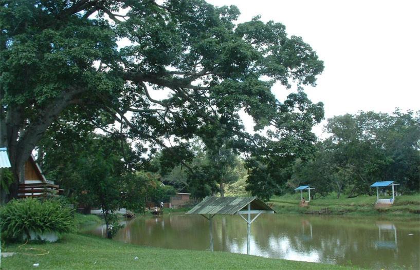 Atibaia Chales Encantador 1, 2 E 3 Экстерьер фото